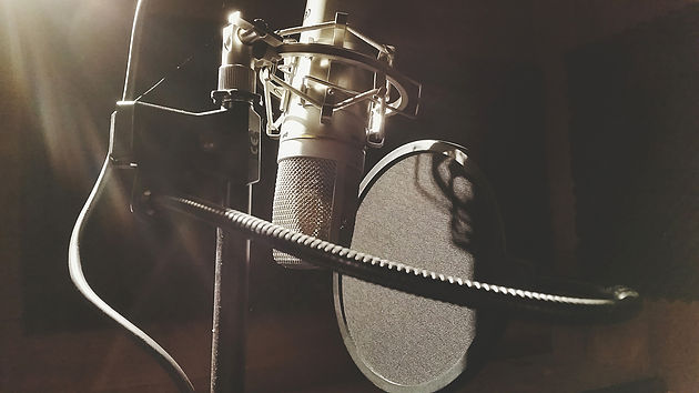 Hiring Professional Voice Talent For Videos