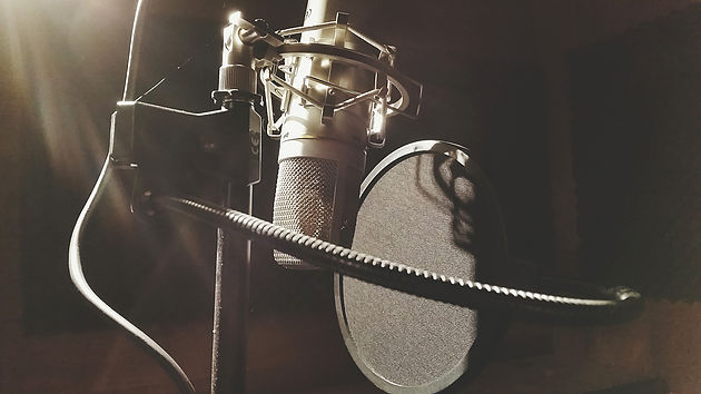 Professional voice deals recording equipment