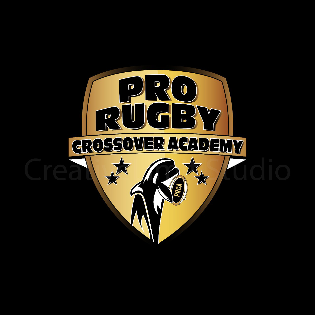 Logo project placeholder